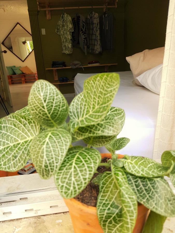 Tatami Hostel 布卡拉曼加 外观 照片