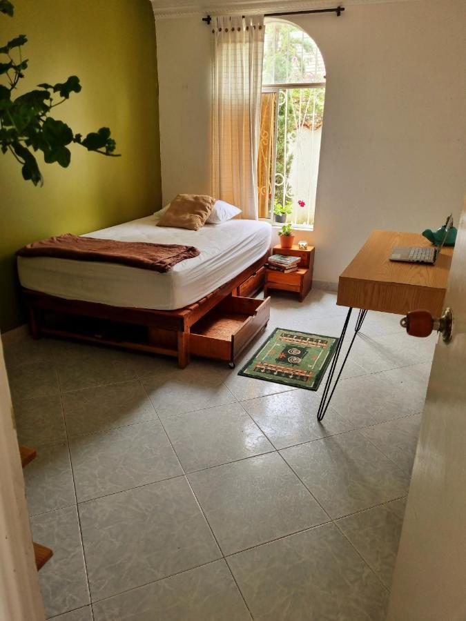 Tatami Hostel 布卡拉曼加 外观 照片