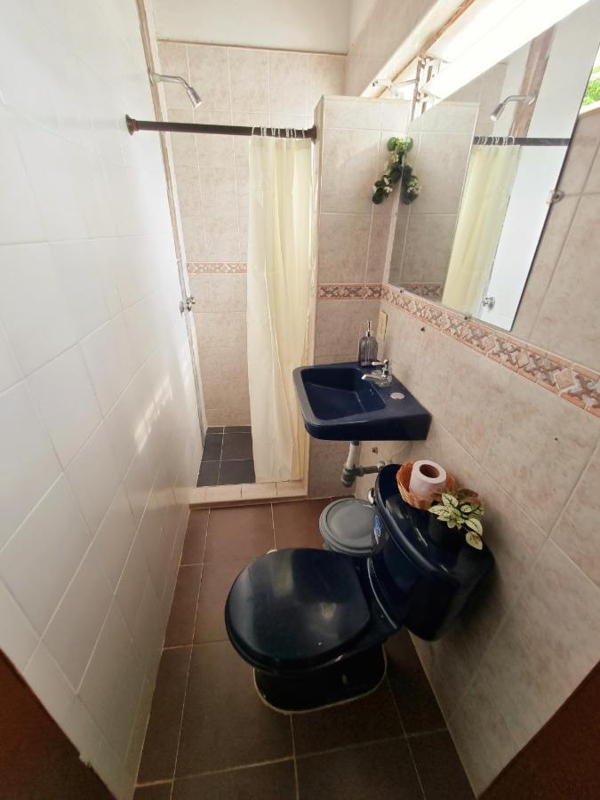 Tatami Hostel 布卡拉曼加 外观 照片