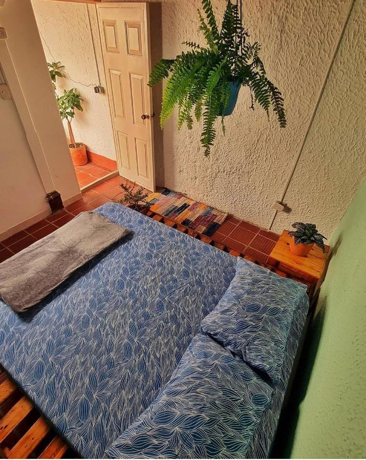 Tatami Hostel 布卡拉曼加 外观 照片