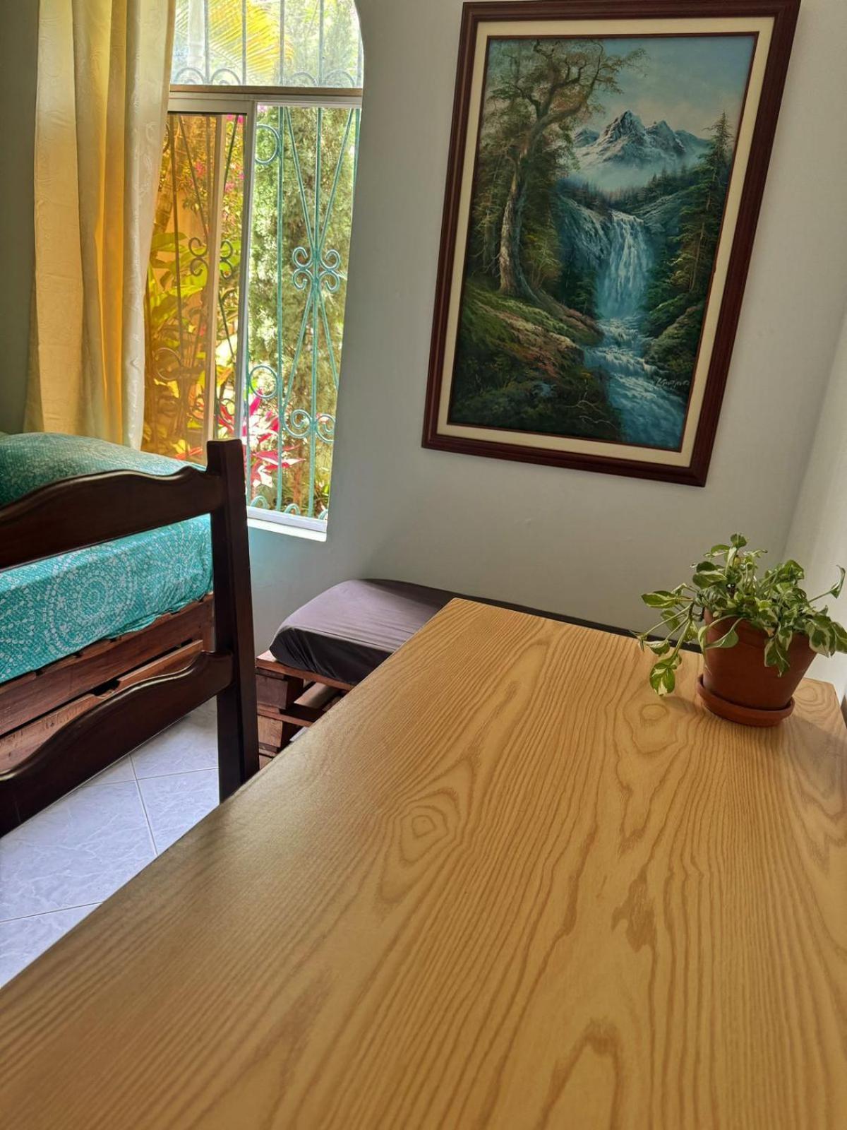 Tatami Hostel 布卡拉曼加 外观 照片